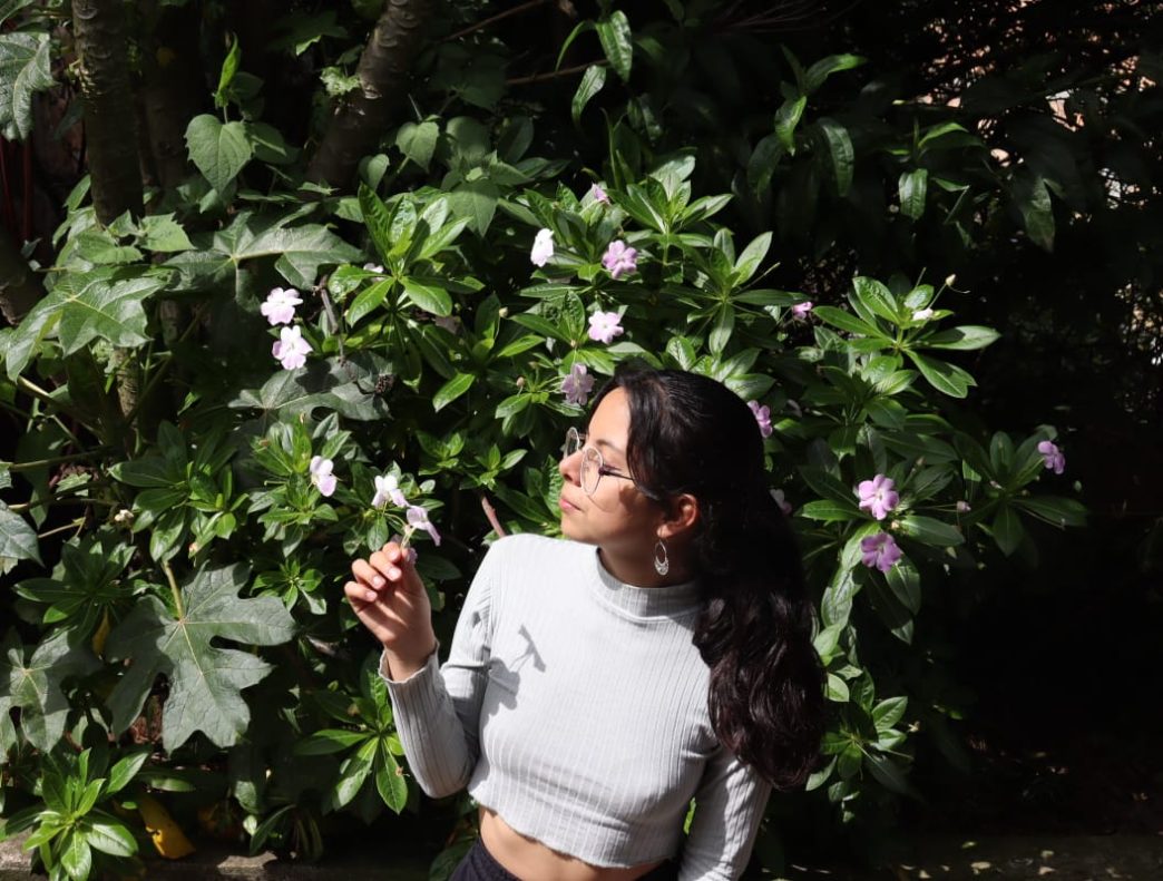 Aura Lucia Niño Torres