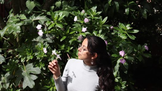 Aura Lucia Niño Torres