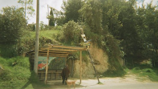 Foto campesino
