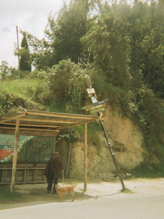 Foto campesino